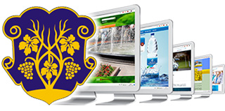Створення сайтів Ужгород Україна