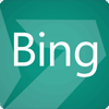 ICO page bing